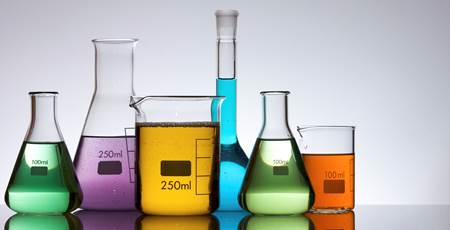 Science Festival