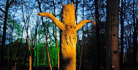 Enchanted Forest at Stockeld Park