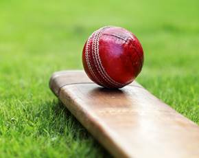 Cricket Bat and Ball