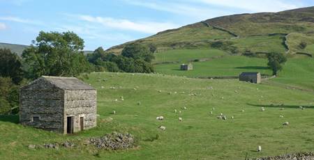 Yorkshire Dales Barn Courtesy of Pixabay